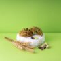 Paste di Pistacchio